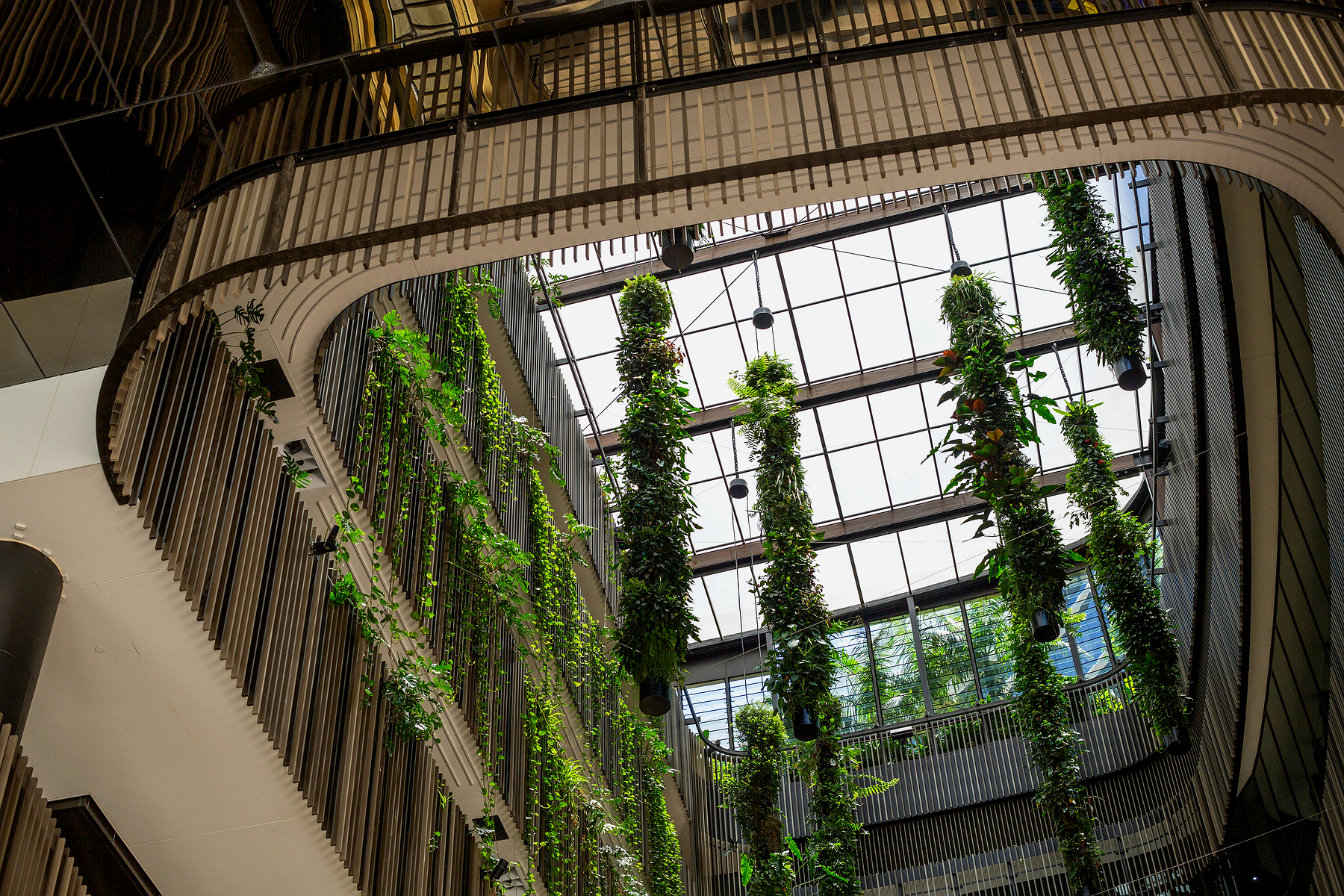 Team planning next steps for Team-basierte Kurse im Szenario-Denken und Executive Coaching für strategische Unternehmensresilienz